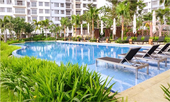 Palm Height Apartment For Rent